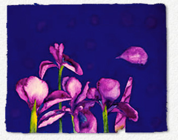 Image: Basil Alkazzi - Iris in the Forbidden City III