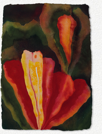 Image: Basil Alkazzi - Iris in the Forbidden City III